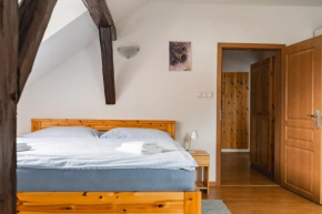 Apartmán V PODKROVÍ, Horní Planá
